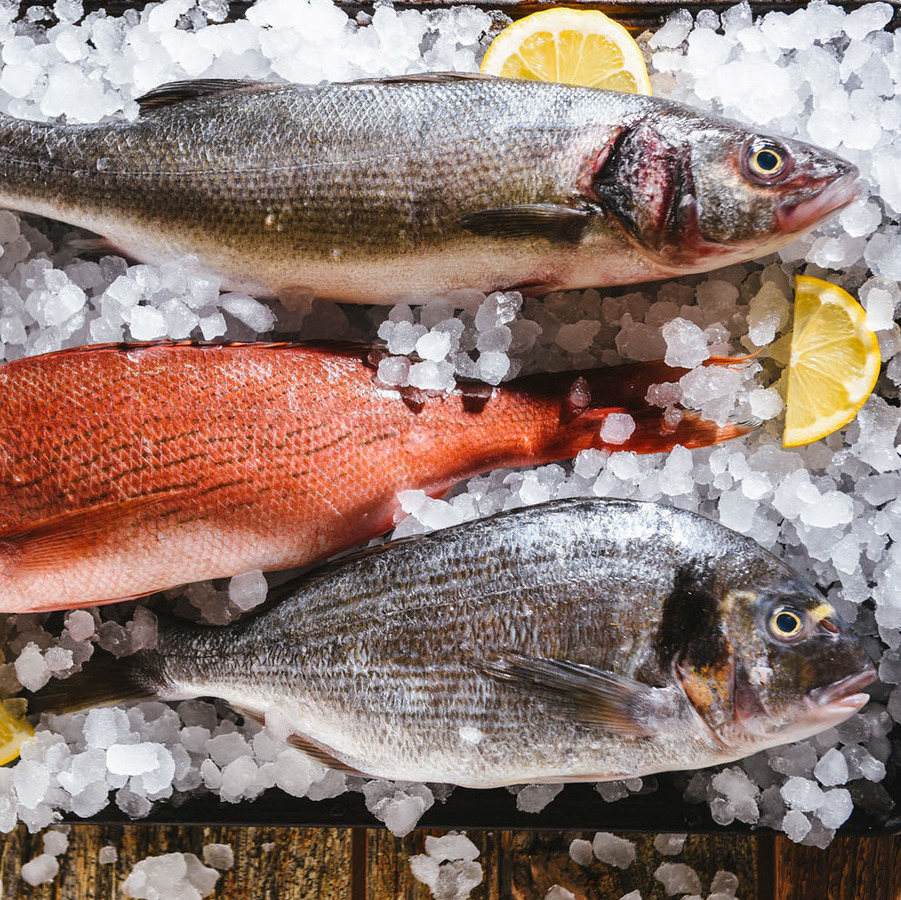 Рыба и морепродукты Рыба и морепродукты